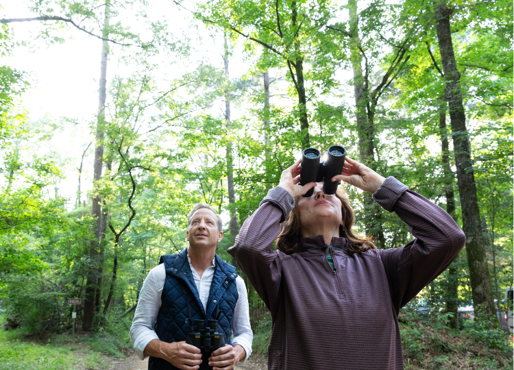 Houston to New Orleans Discovery Tour